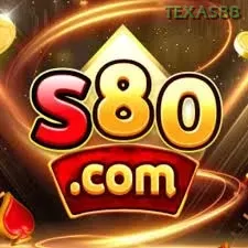 S80 texas88